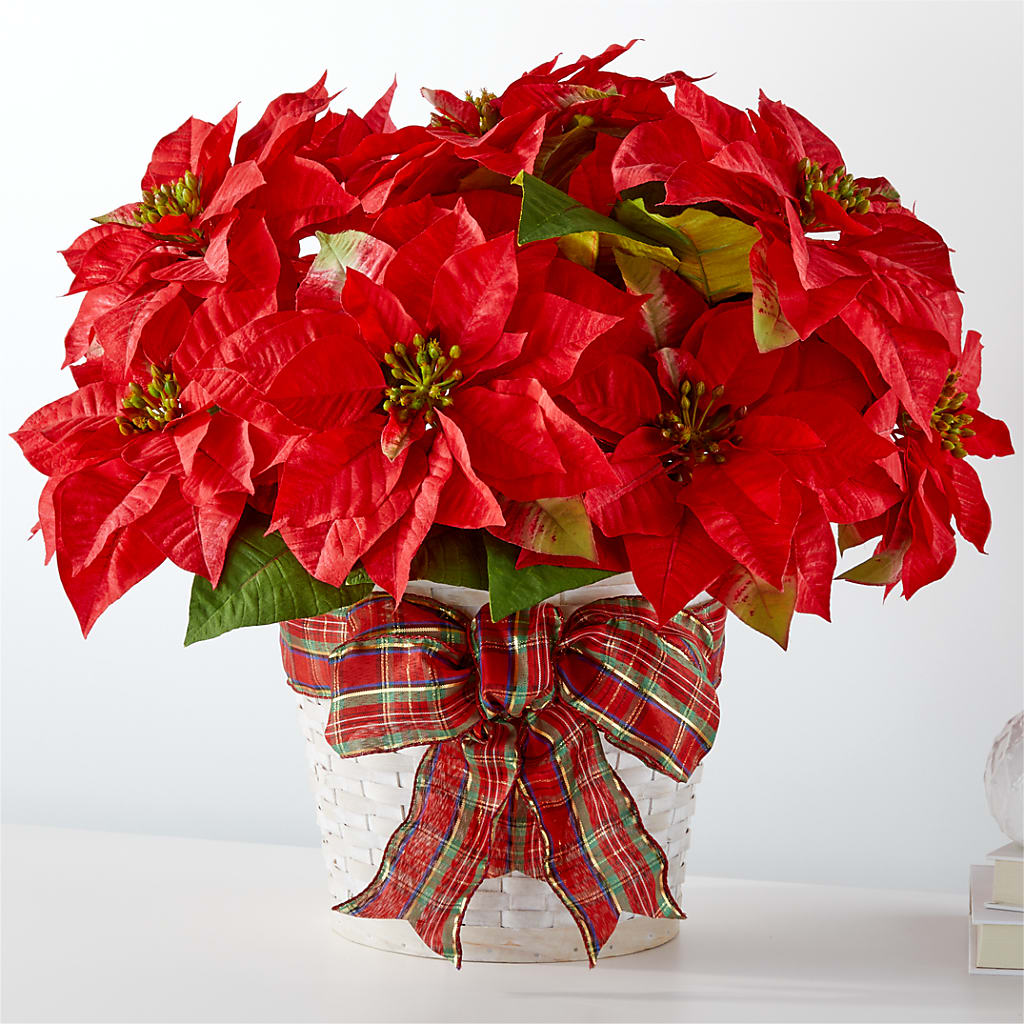 Happiest Holidays Poinsettia – Black Orchid Florist, Santa Ana CA