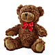 Adorable Plush Bear – Black Orchid Florist, Santa Ana CA