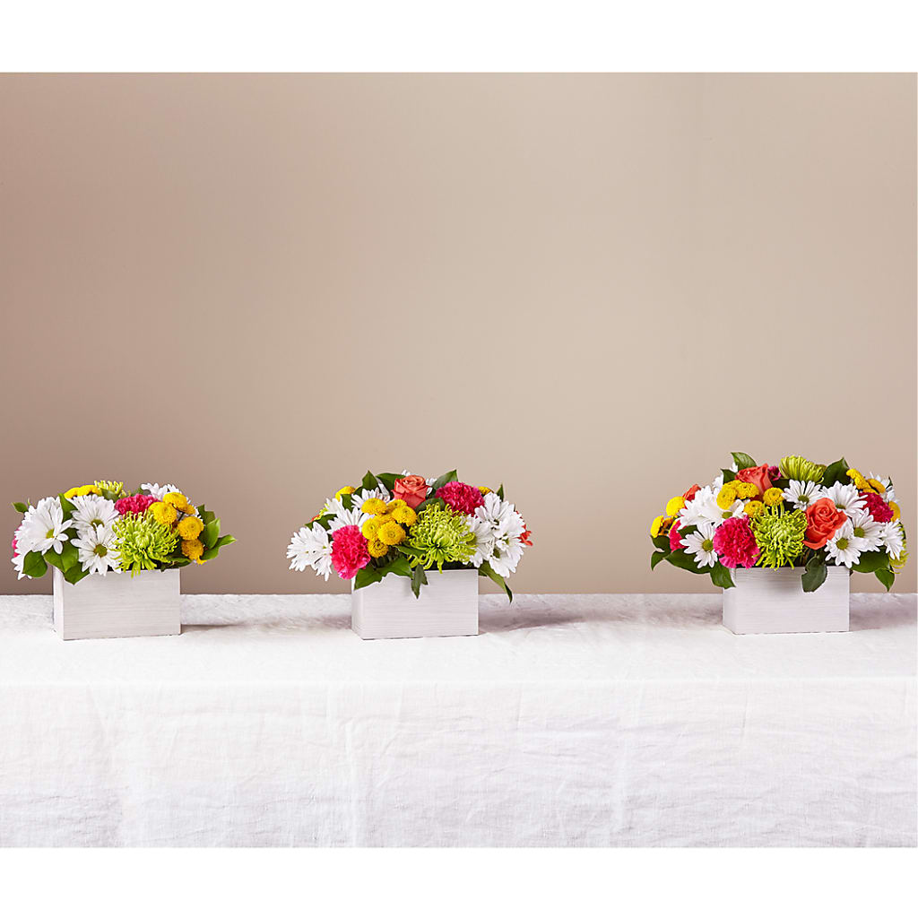 Sorbet Bouquet – Black Orchid Florist, Santa Ana CA