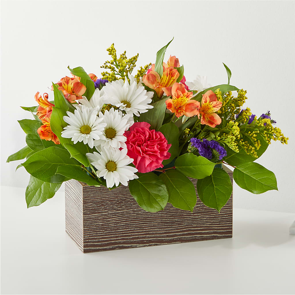 Oopsie Daisy Box Bouquet – Black Orchid Florist, Santa Ana CA