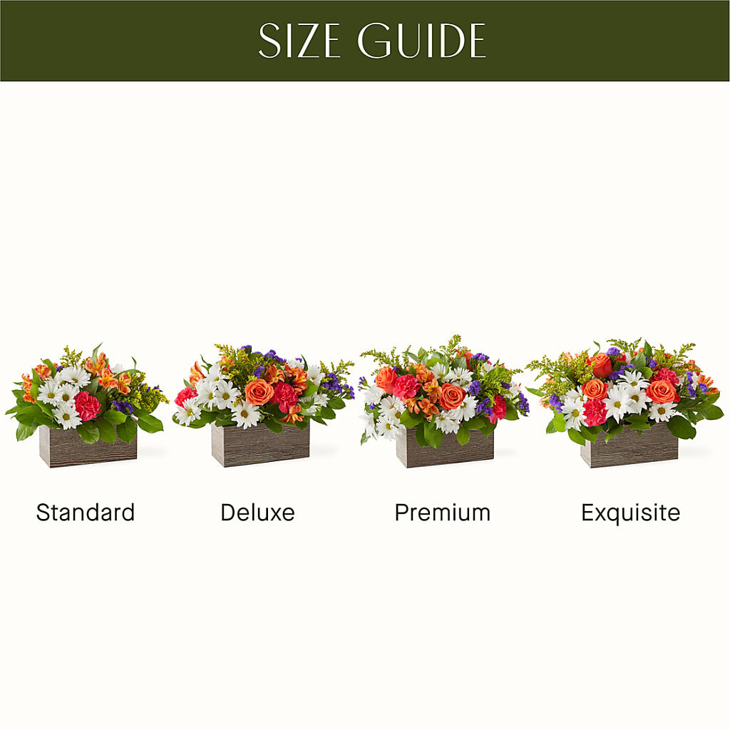 Oopsie Daisy Box Bouquet – Black Orchid Florist, Santa Ana CA