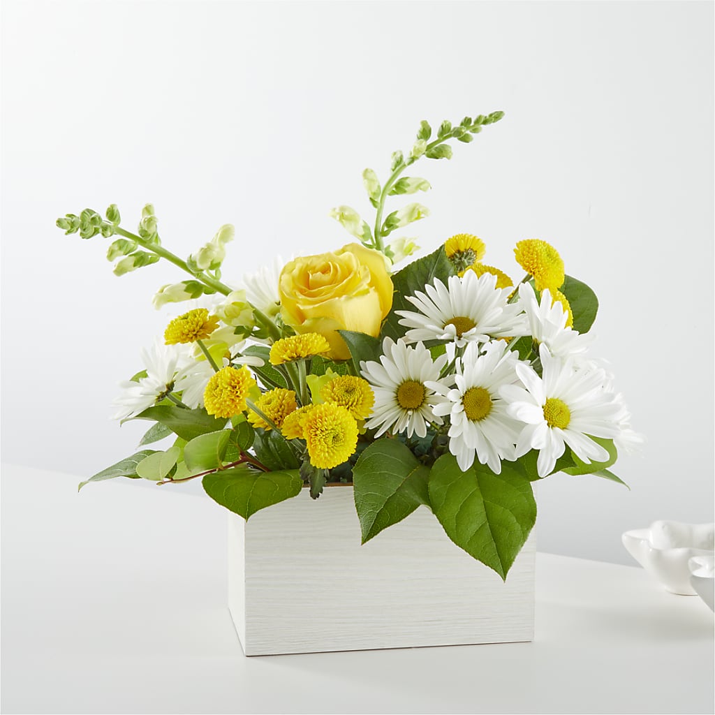 Sun Salutation Box Bouquet – Black Orchid Florist, Santa Ana CA