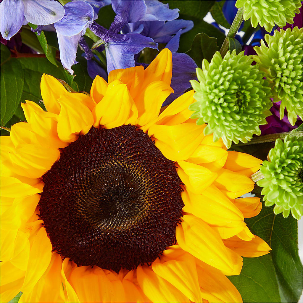 Catching Rays Bouquet – Black Orchid Florist, Santa Ana CA