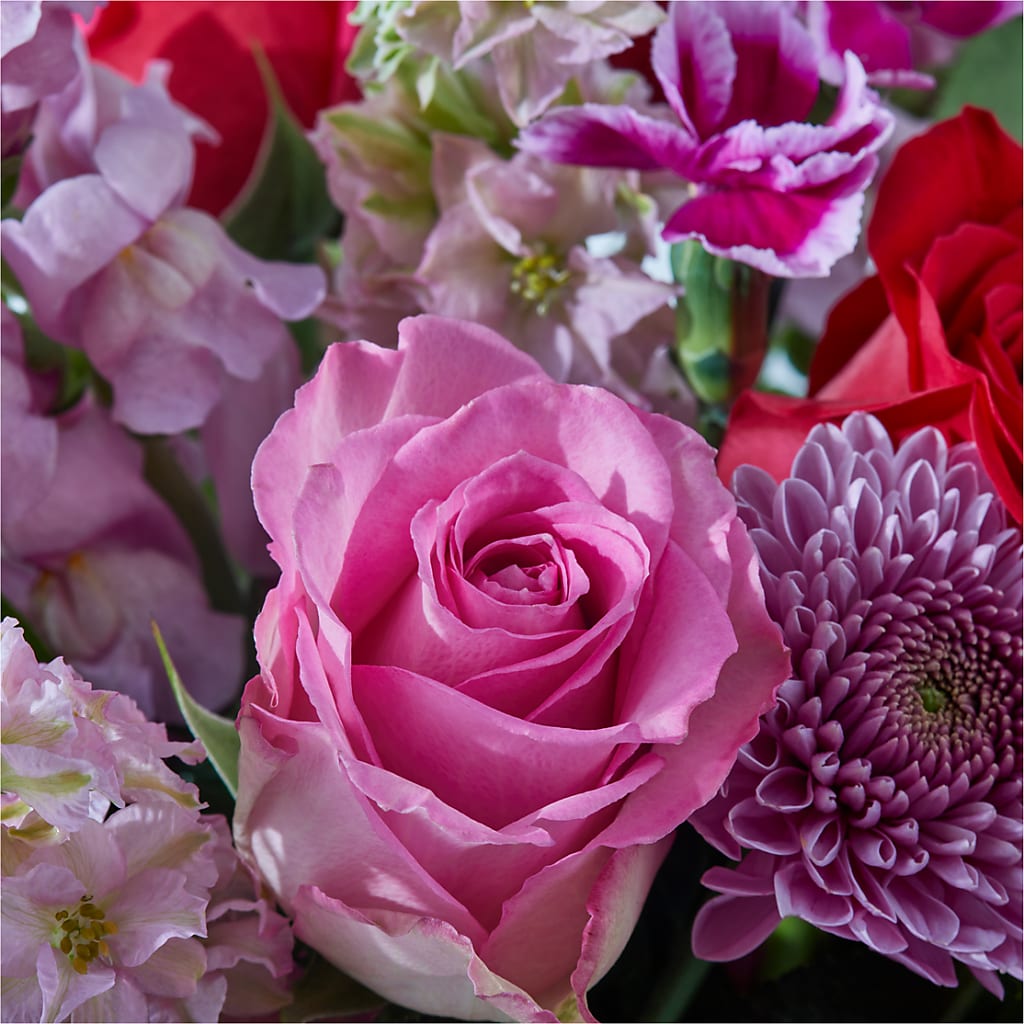 Better Together - A Luxury Florist Original – Black Orchid Florist, Santa Ana CA