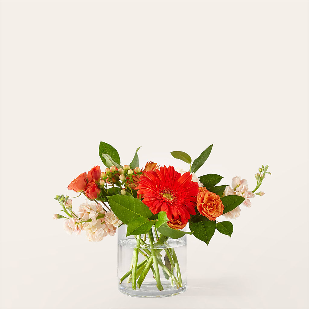 Paloma Please Bouquet – Black Orchid Florist, Santa Ana CA