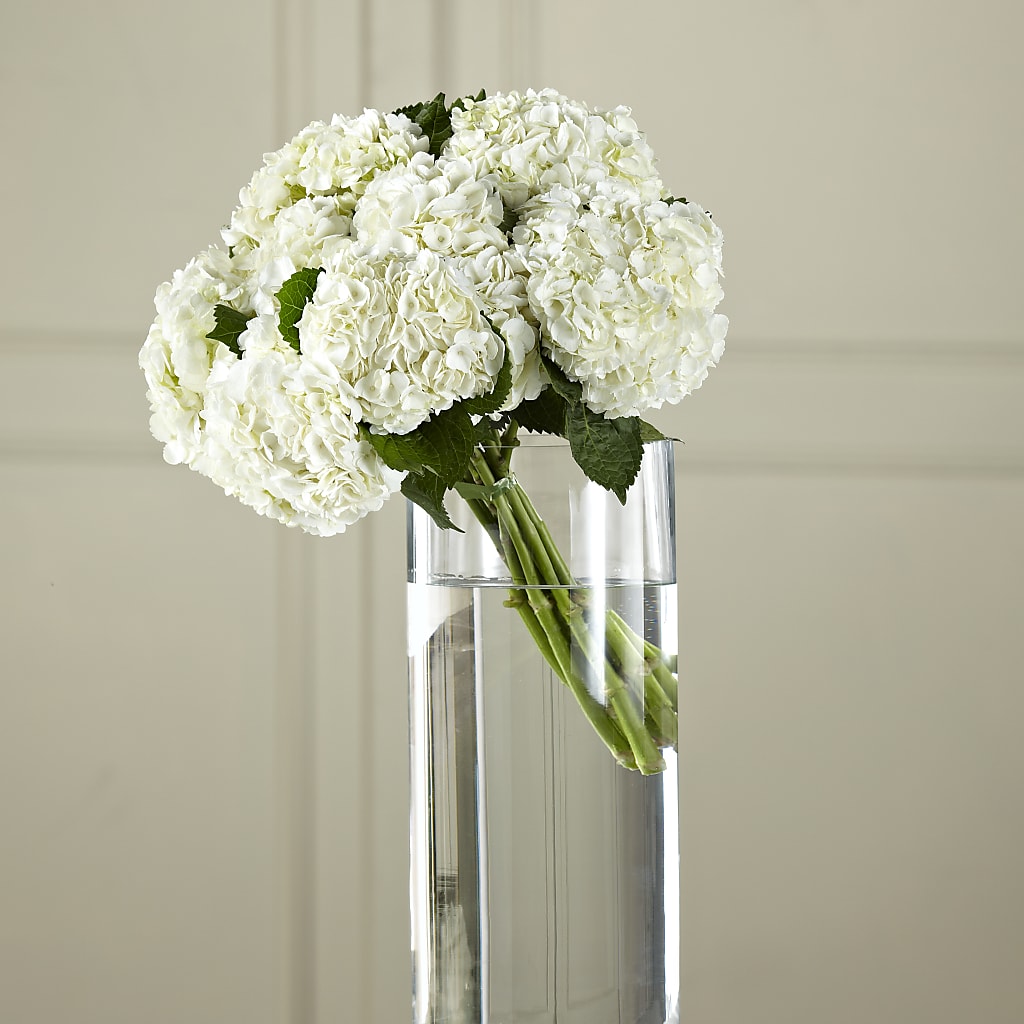 White Hydrangea Hand-Tied Bouquet – Black Orchid Florist, Santa Ana CA