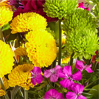 Bold & Bright – A Florist Original –  Black Orchid Florist, Santa Ana CA