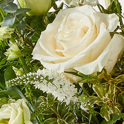 Cashmere Bouquet –  Black Orchid Florist, Santa Ana CA