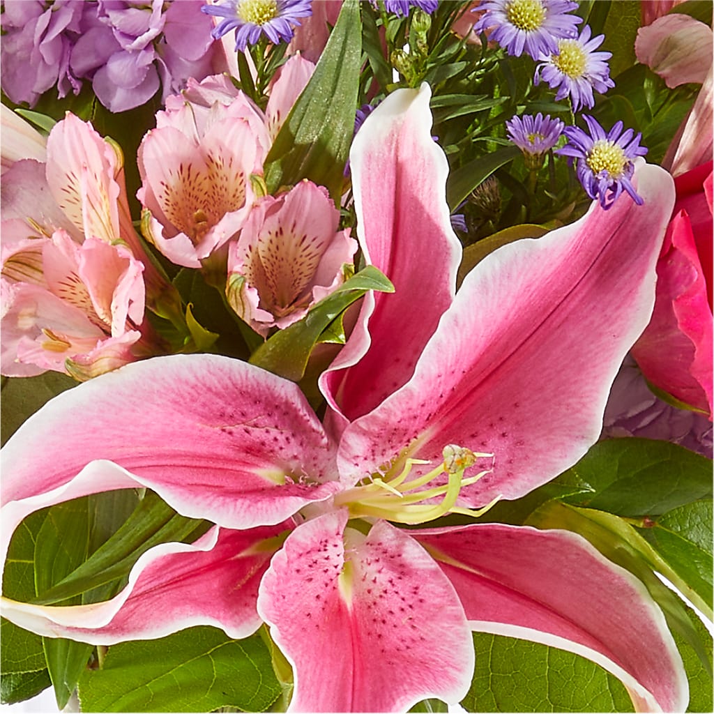 Written in the Stars Bouquet –  Black Orchid Florist, Santa Ana CA