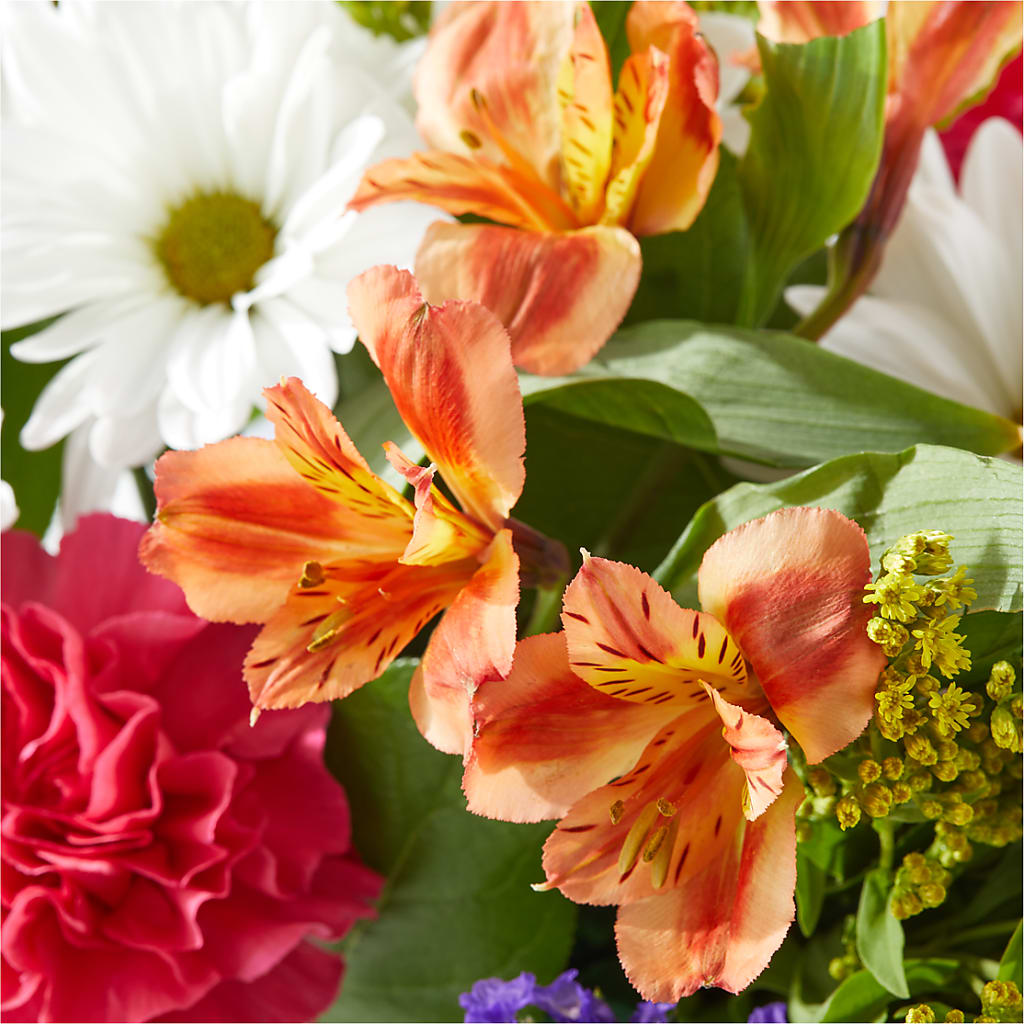 Oopsie Daisy Box Bouquet –  Black Orchid Florist, Santa Ana CA