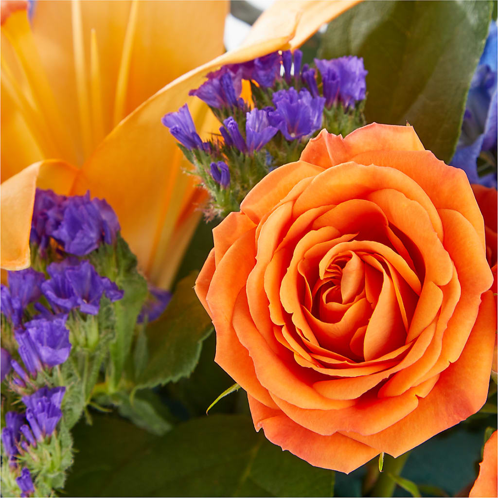Radiant Citrus Box Bouquet –  Black Orchid Florist, Santa Ana CA