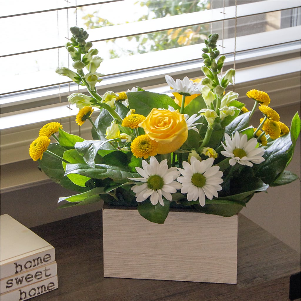 Sun Salutation Box Bouquet –  Black Orchid Florist, Santa Ana CA