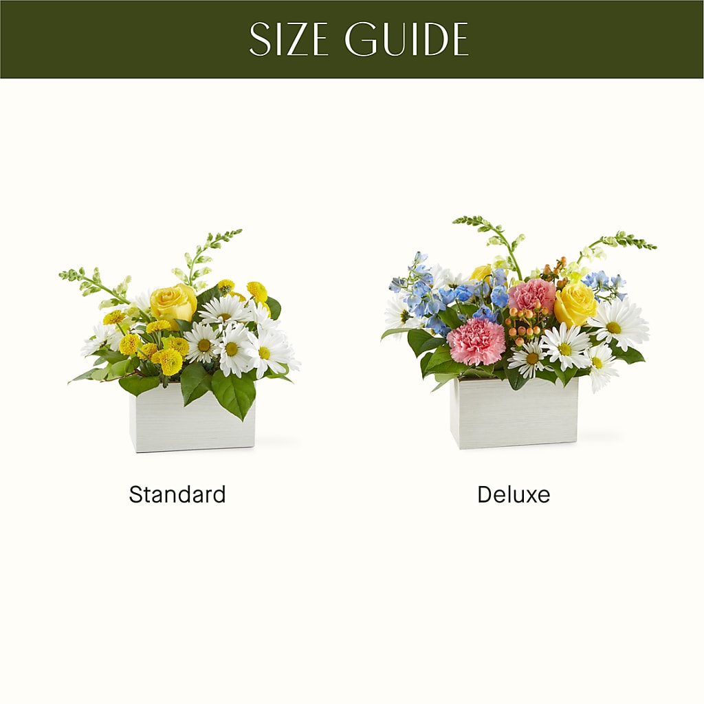 Sun Salutation Box Bouquet –  Black Orchid Florist, Santa Ana CA