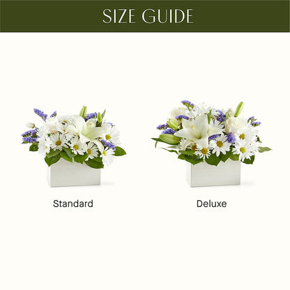 Beyond Blue Box Bouquet –  Black Orchid Florist, Santa Ana CA