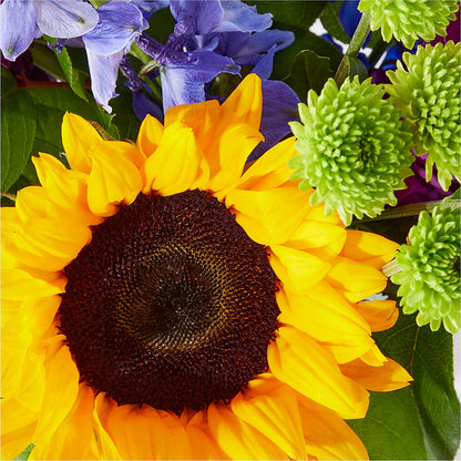 Catching Rays Bouquet –  Black Orchid Florist, Santa Ana CA