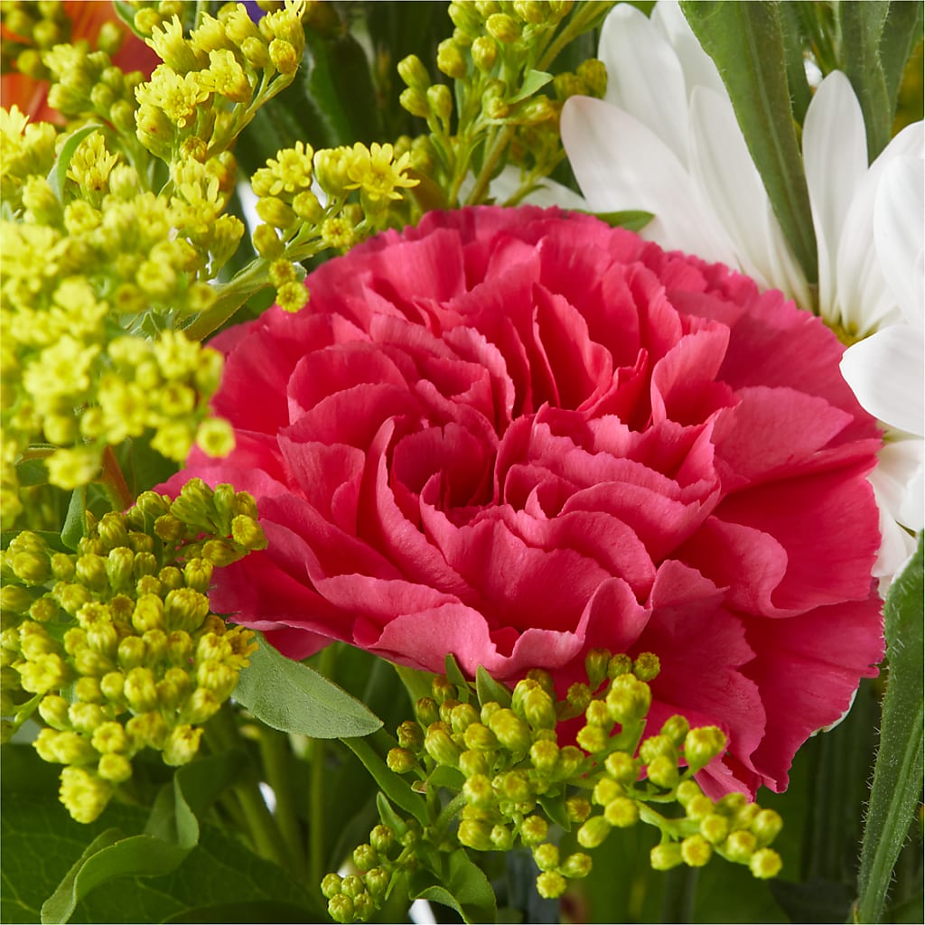 Oopsie Daisy Bouquet –  Black Orchid Florist, Santa Ana CA