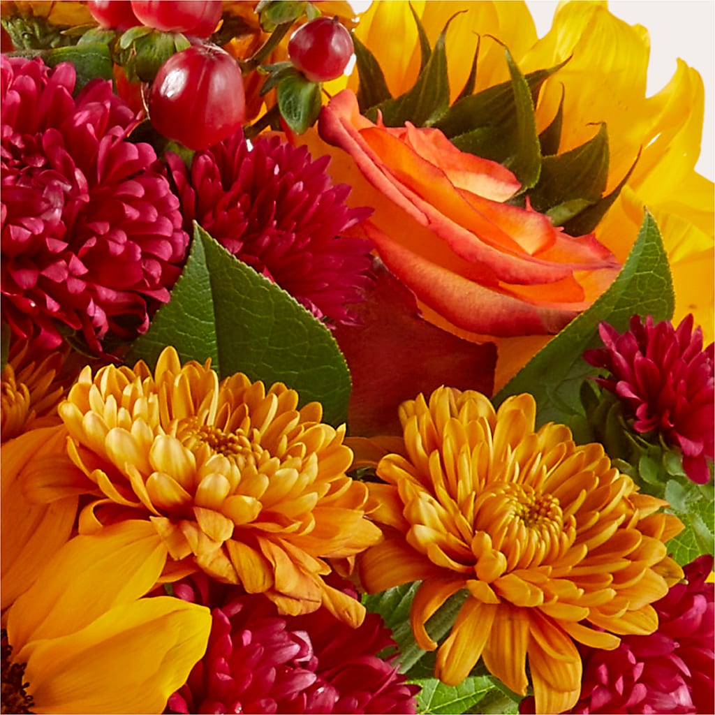 Sweater Season - A Florist Original –  Black Orchid Florist, Santa Ana CA