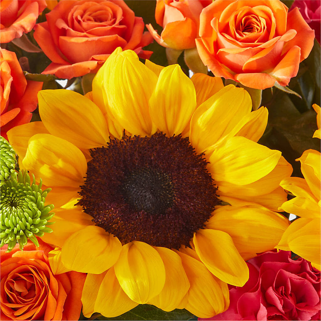 Sun-drenched Blooms Box Bouquet –  Black Orchid Florist, Santa Ana CA