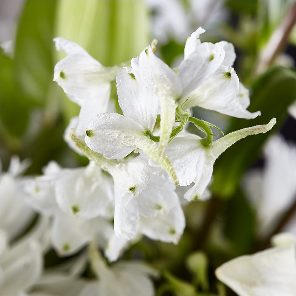 Classic Ivory – A Florist Original –  Black Orchid Florist, Santa Ana CA