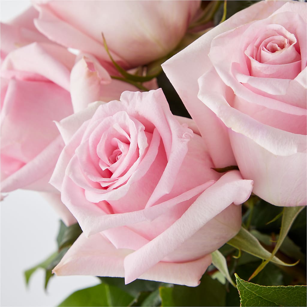 Picture Perfect Pink Rose Bouquet –  Black Orchid Florist, Santa Ana CA