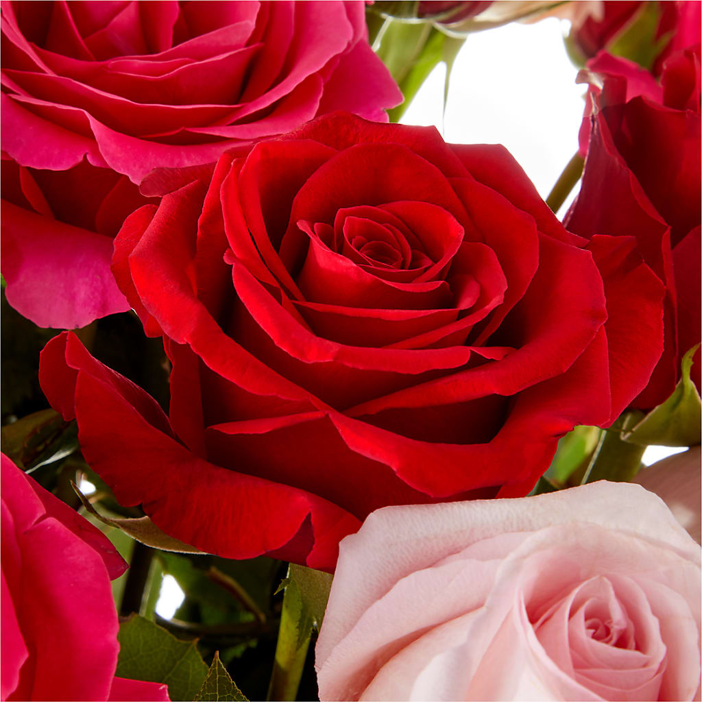 Love Notes Rose Bouquet –  Black Orchid Florist, Santa Ana CA