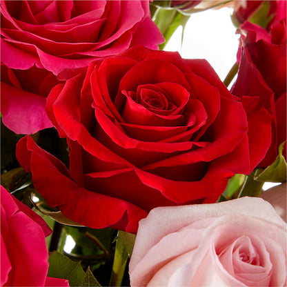 Love Notes Rose Bouquet –  Black Orchid Florist, Santa Ana CA