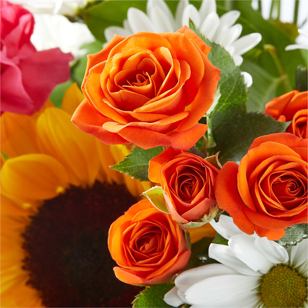 Sun-drenched Blooms Bouquet –  Black Orchid Florist, Santa Ana CA