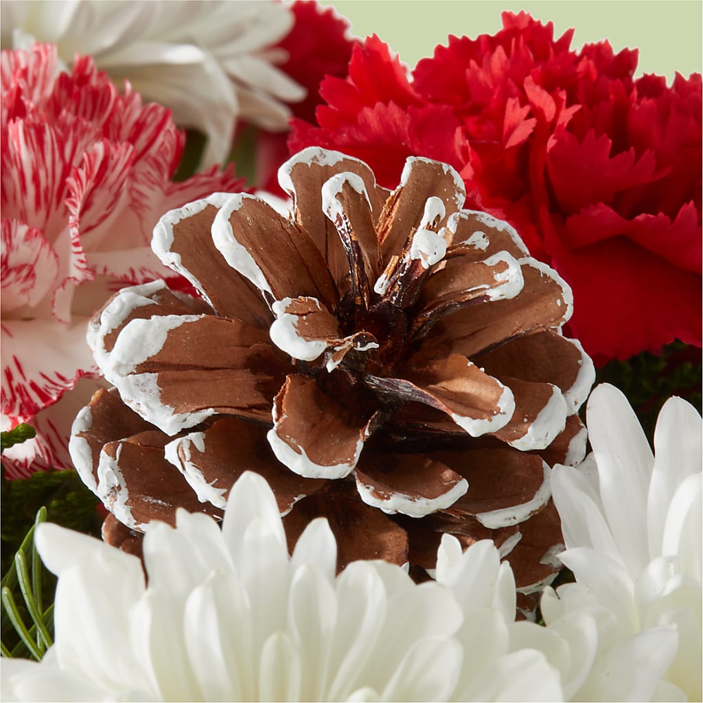 Candy Cane Lane Bouquet –  Black Orchid Florist, Santa Ana CA