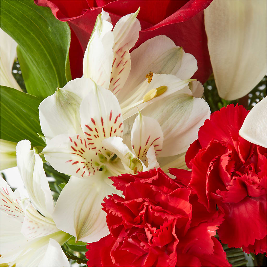 Holiday Season Bouquet –  Black Orchid Florist, Santa Ana CA