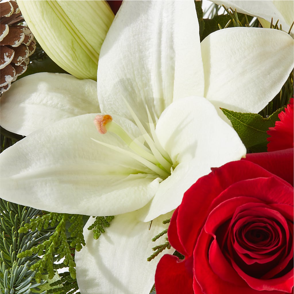 Oh So Jolly Bouquet –  Black Orchid Florist, Santa Ana CA
