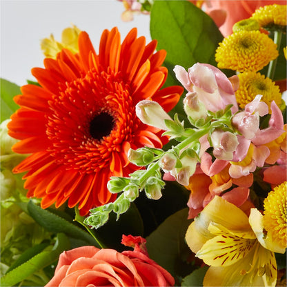 Autumn Sunshine Bouquet –  Black Orchid Florist, Santa Ana CA