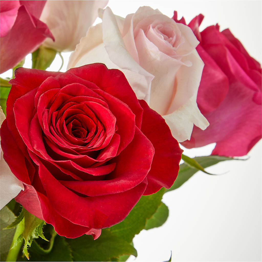 Charming Rose Bouquet –  Black Orchid Florist, Santa Ana CA