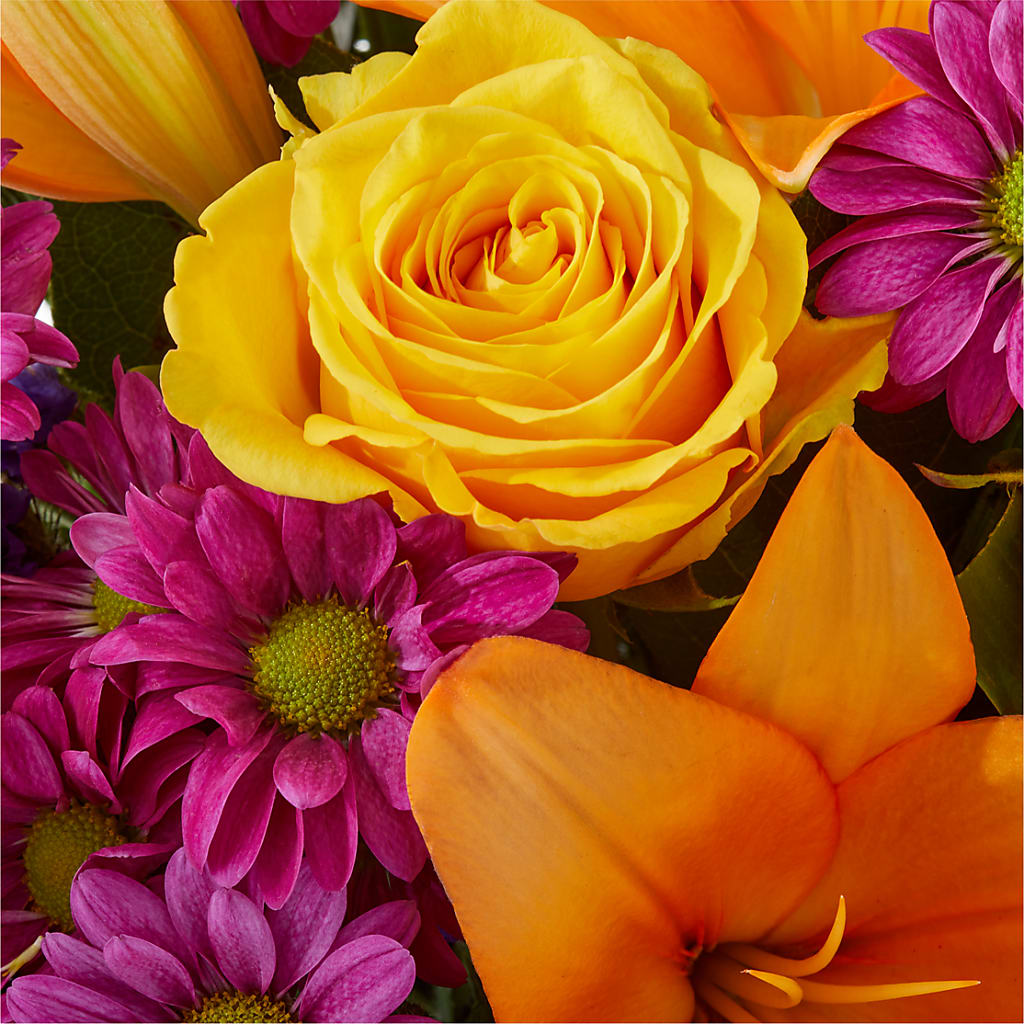 Colorful Visions Bouquet –  Black Orchid Florist, Santa Ana CA