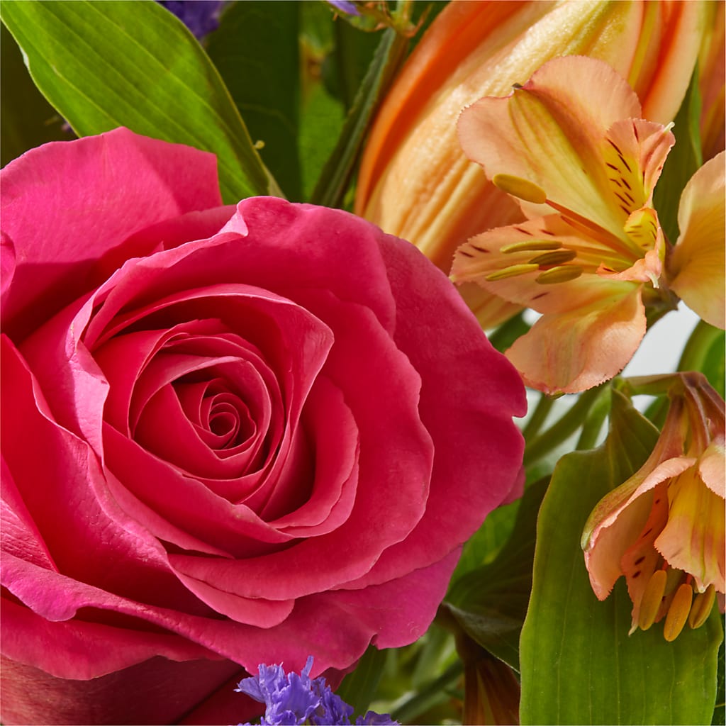 Joyful Bouquet –  Black Orchid Florist, Santa Ana CA