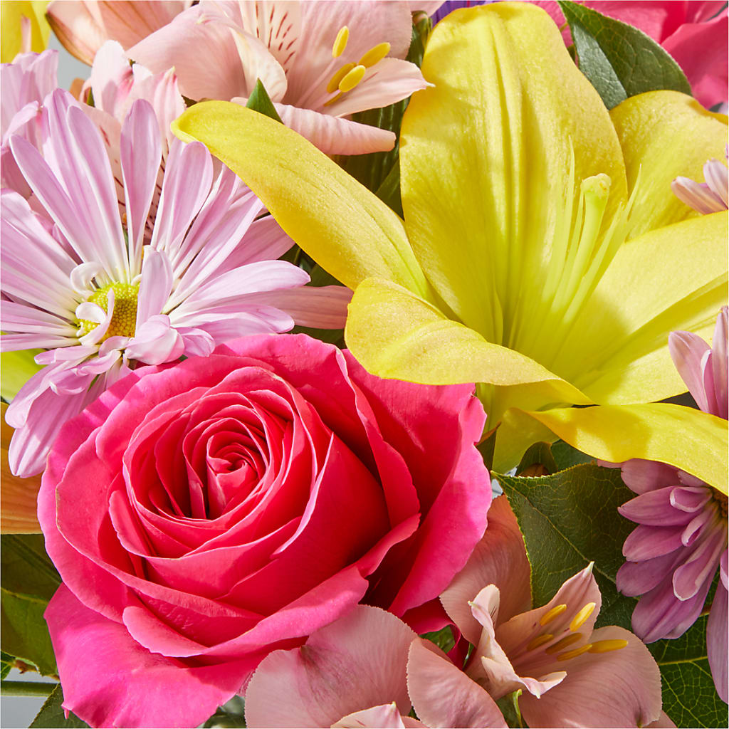 Sprinkles Bouquet –  Black Orchid Florist, Santa Ana CA