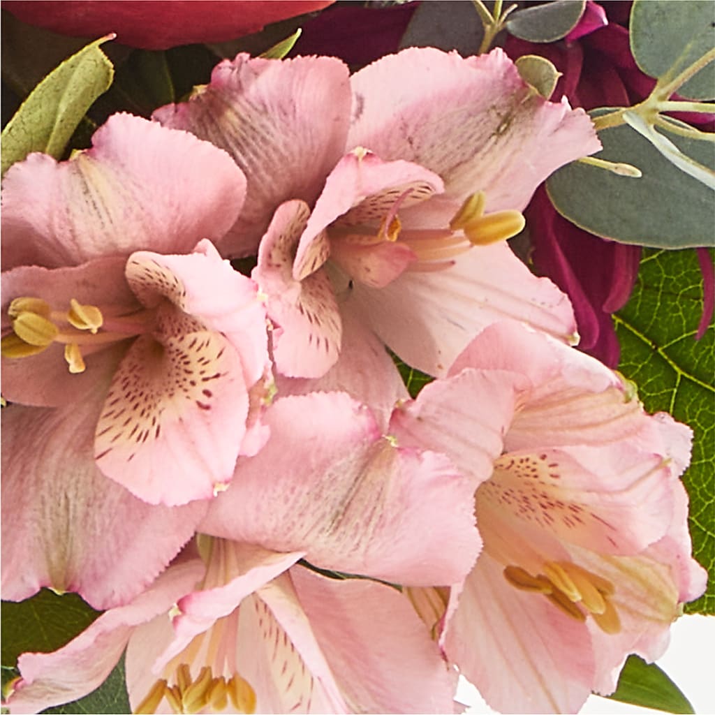 Berry Cobbler Bouquet –  Black Orchid Florist, Santa Ana CA
