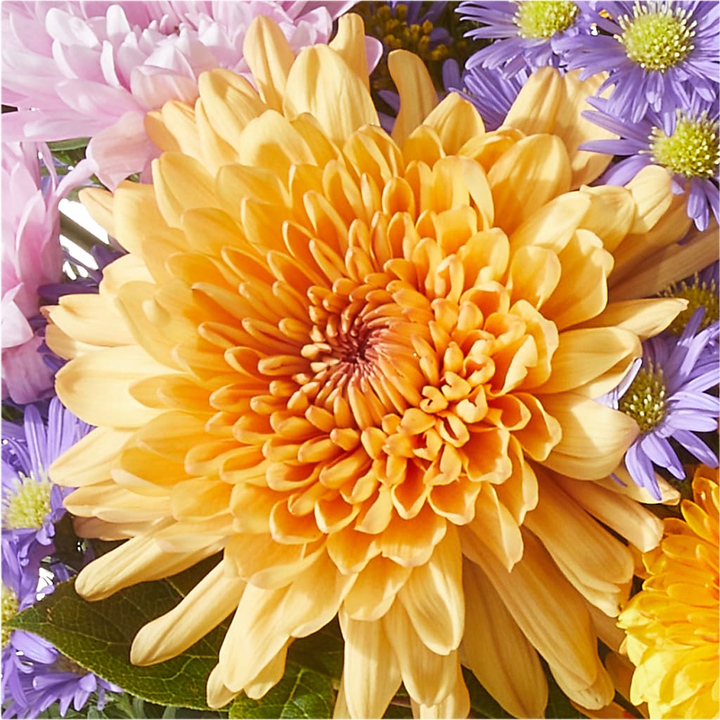 Countryside Bouquet –  Black Orchid Florist, Santa Ana CA