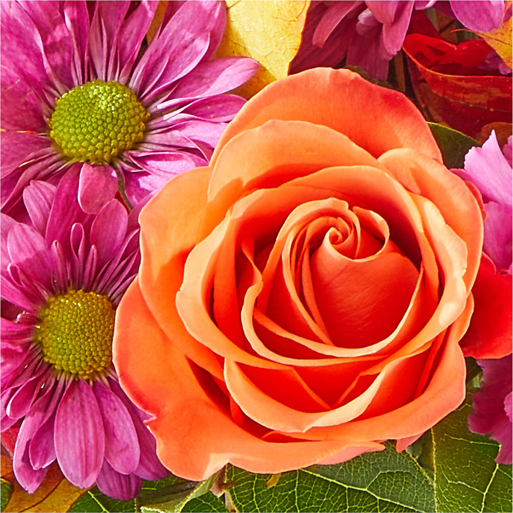 Mum's the Word Bouquet –  Black Orchid Florist, Santa Ana CA