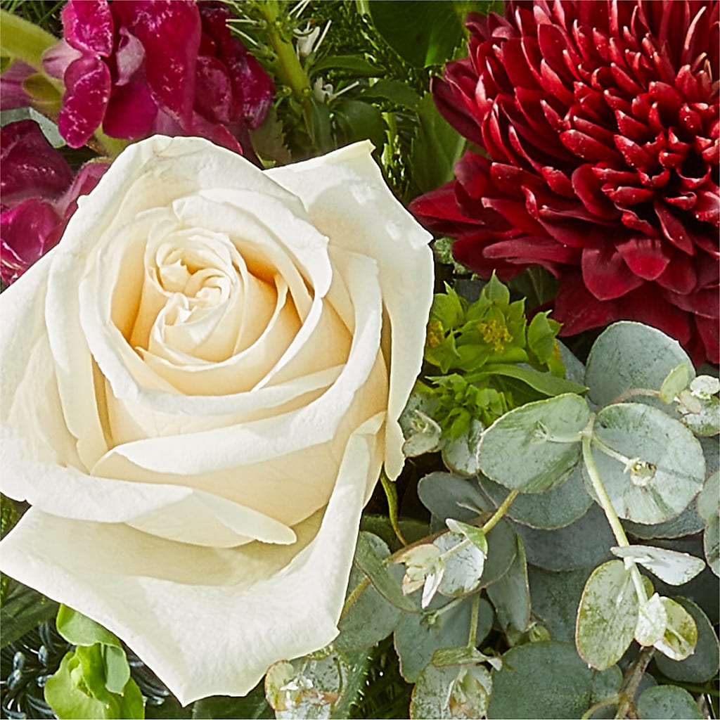 Cranberry Fizz Bouquet –  Black Orchid Florist, Santa Ana CA