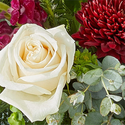 Cranberry Fizz Bouquet –  Black Orchid Florist, Santa Ana CA