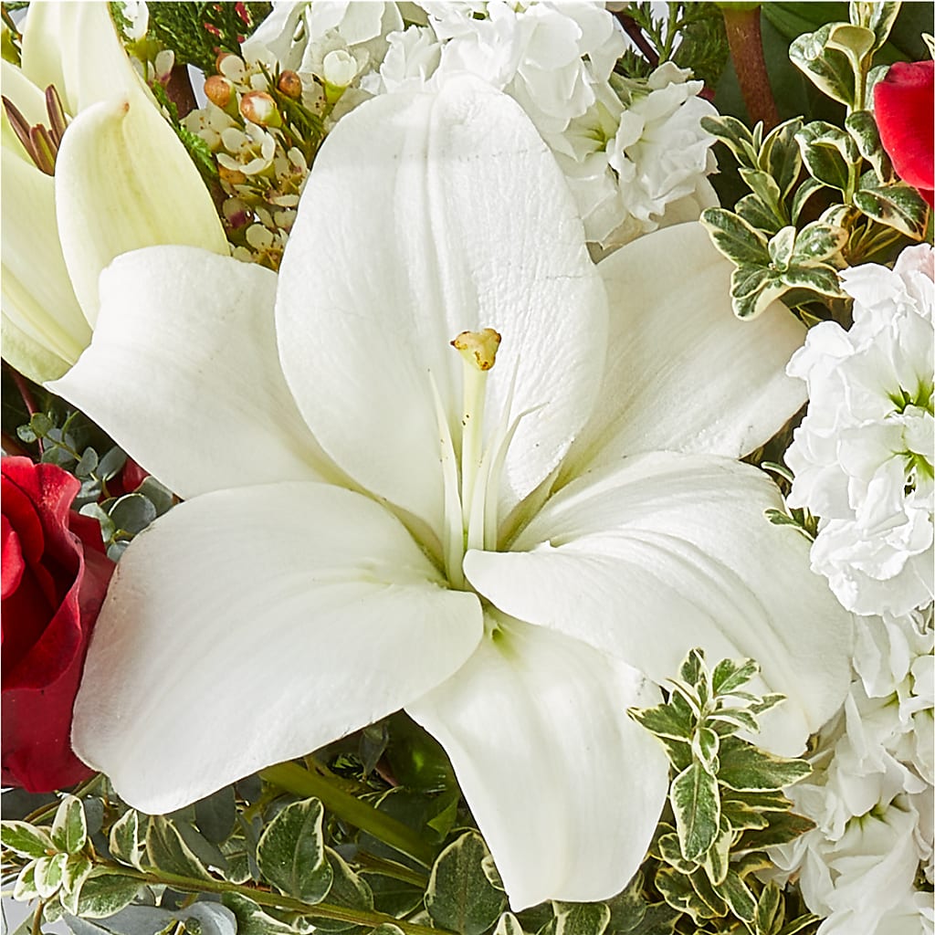 Twinkle Lights Bouquet –  Black Orchid Florist, Santa Ana CA