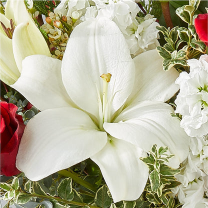 Twinkle Lights Bouquet –  Black Orchid Florist, Santa Ana CA