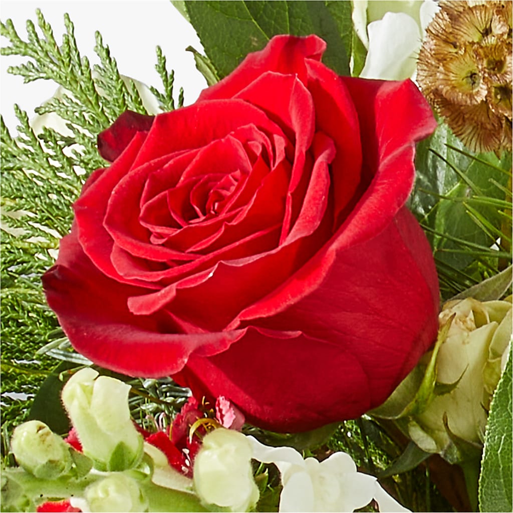 Deck the Halls Bouquet –  Black Orchid Florist, Santa Ana CA