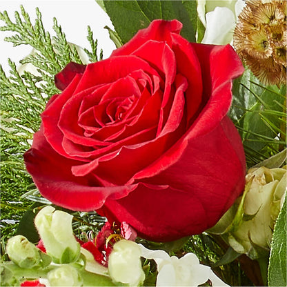 Deck the Halls Bouquet –  Black Orchid Florist, Santa Ana CA