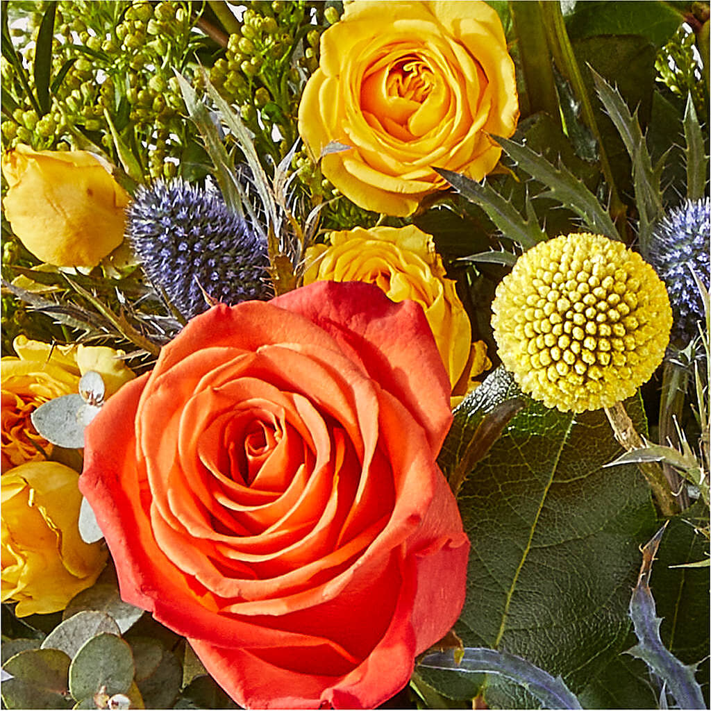 Disco Bouquet –  Black Orchid Florist, Santa Ana CA