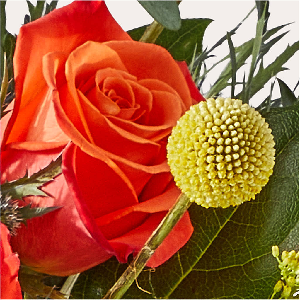 Disco Bouquet –  Black Orchid Florist, Santa Ana CA