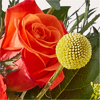 Disco Bouquet –  Black Orchid Florist, Santa Ana CA