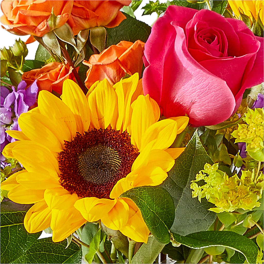 Vibrant Greetings Bouquet –  Black Orchid Florist, Santa Ana CA