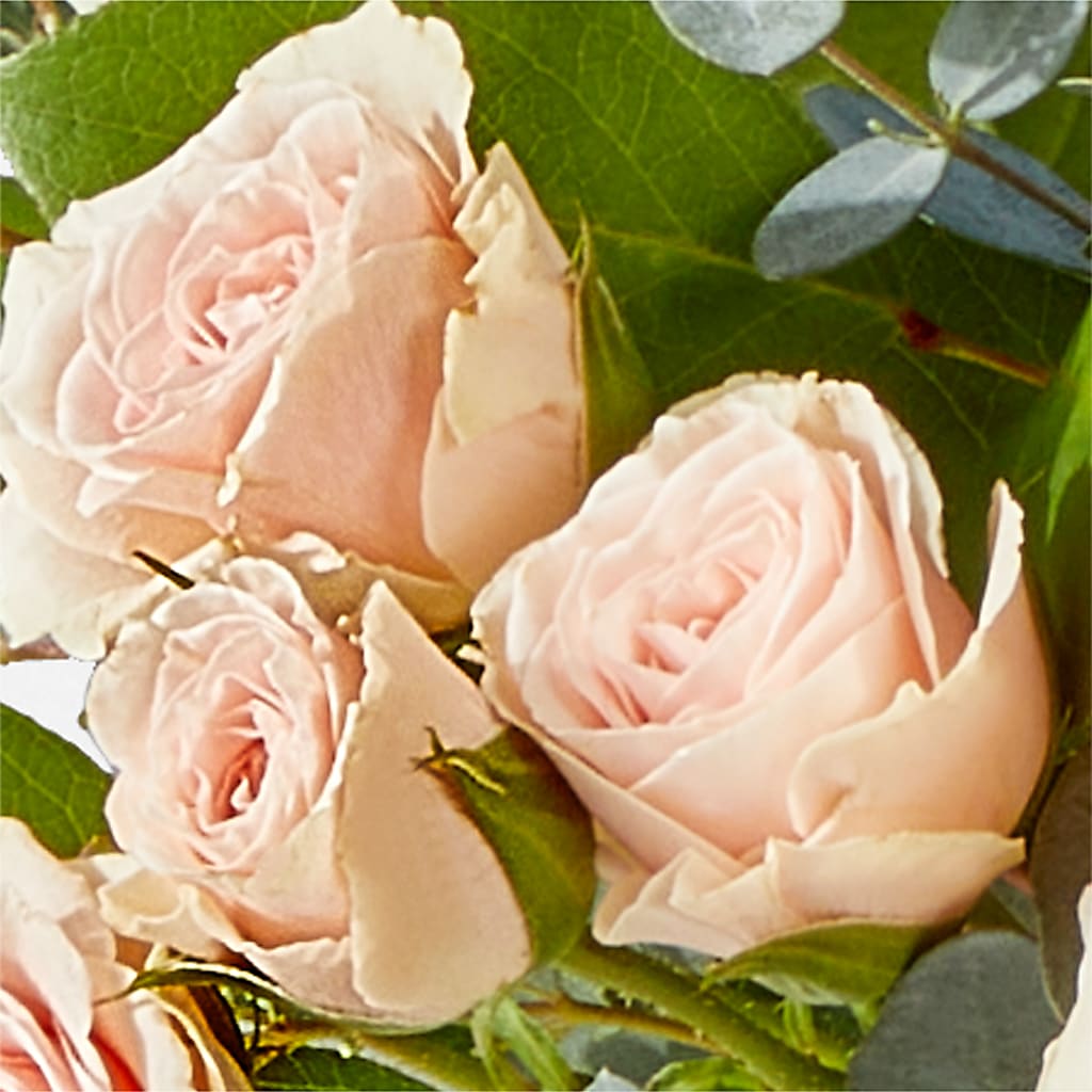 Inspired Bouquet –  Black Orchid Florist, Santa Ana CA