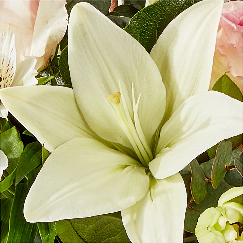 Ballet Slippers Bouquet –  Black Orchid Florist, Santa Ana CA
